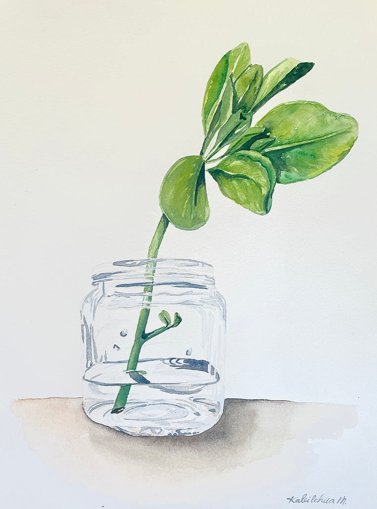 Green leaves from a Naupaka cutting in a glass vase with water.