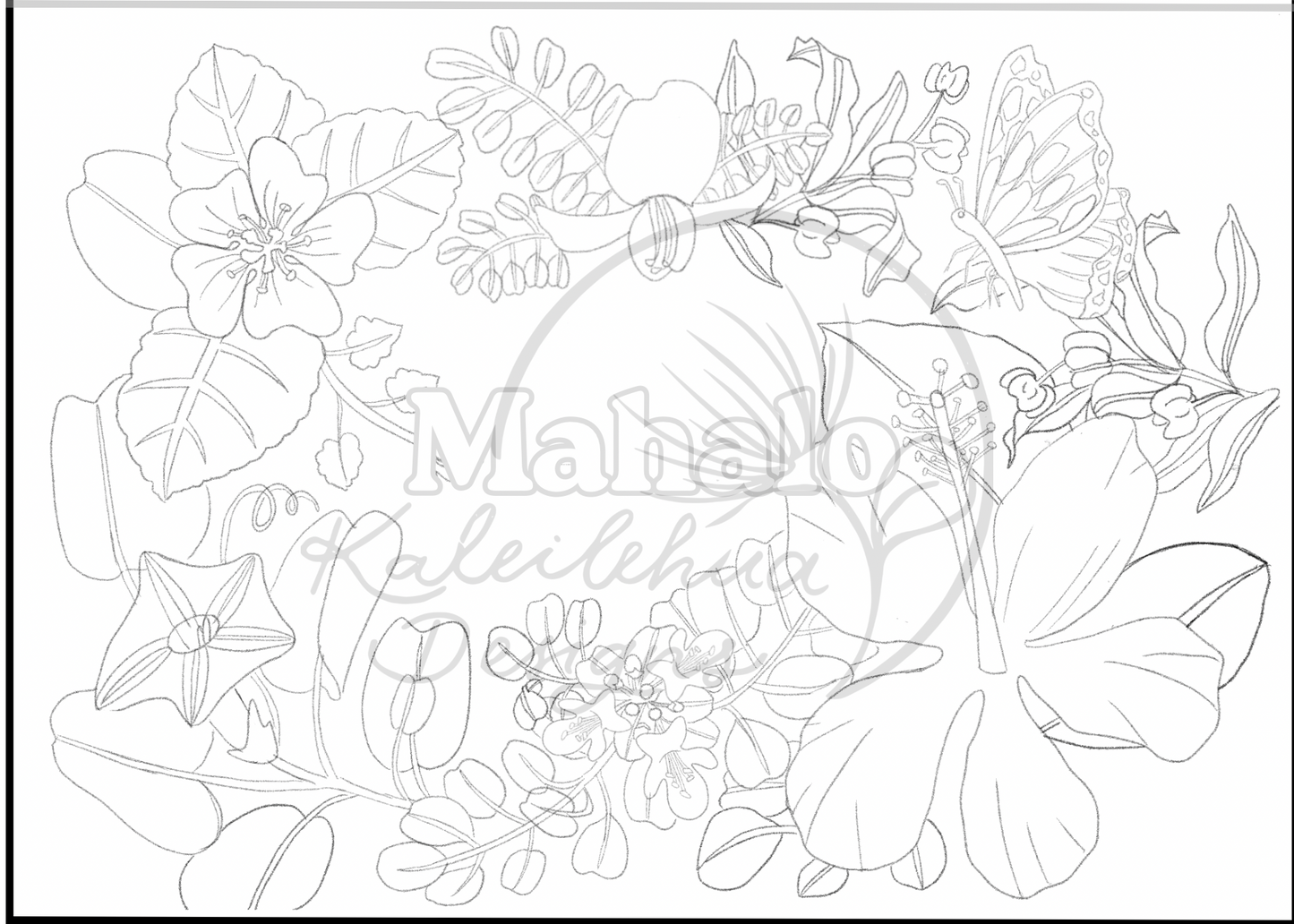 Color Me, Greeting Cards