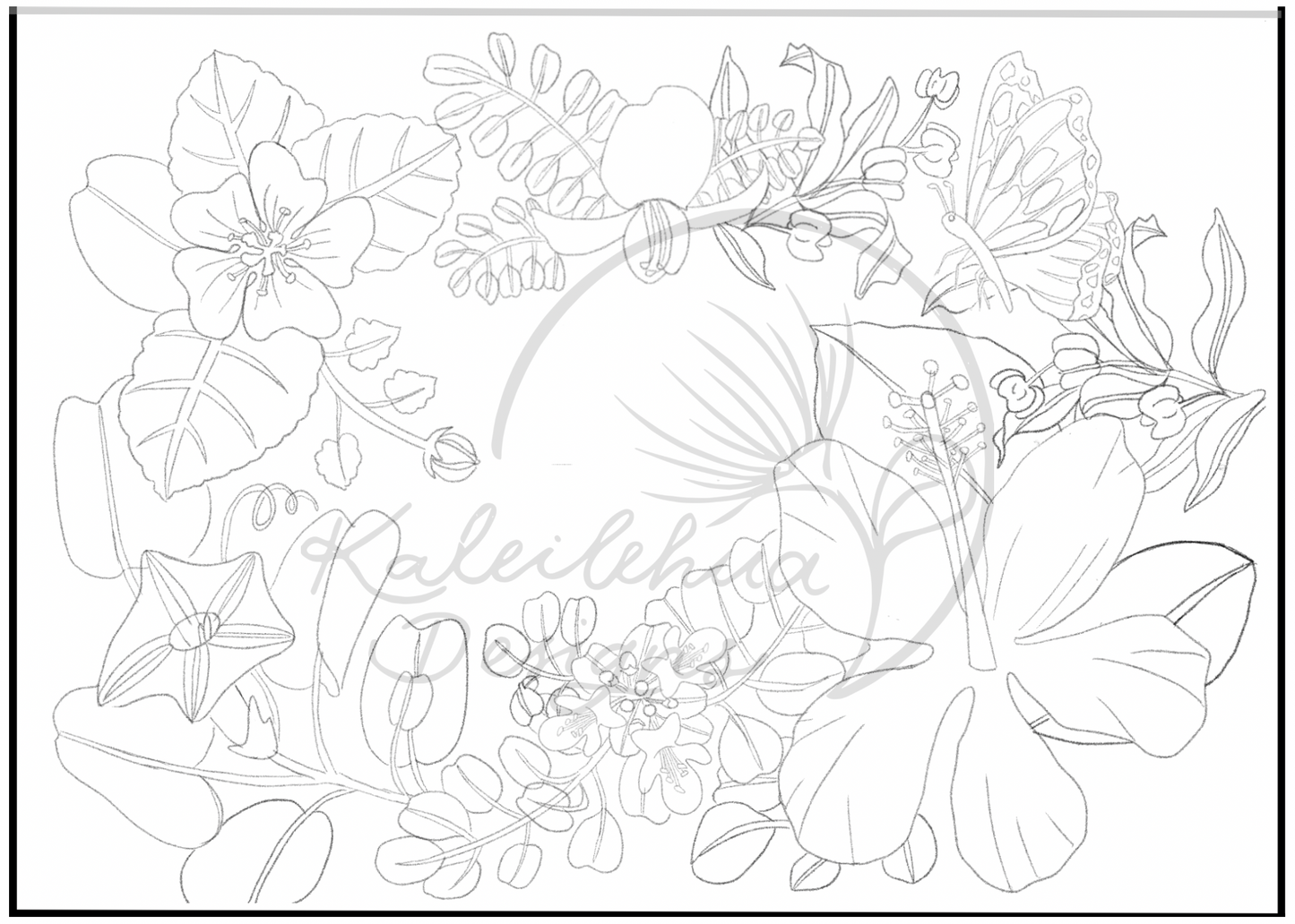 Color Me, Greeting Cards