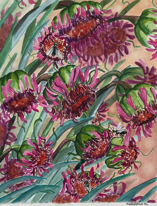 Close up view of ʻĀhinahina flowers and native Hawaii yellow face bees