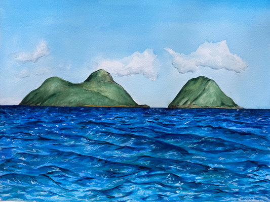 “Nā Mokula” prints