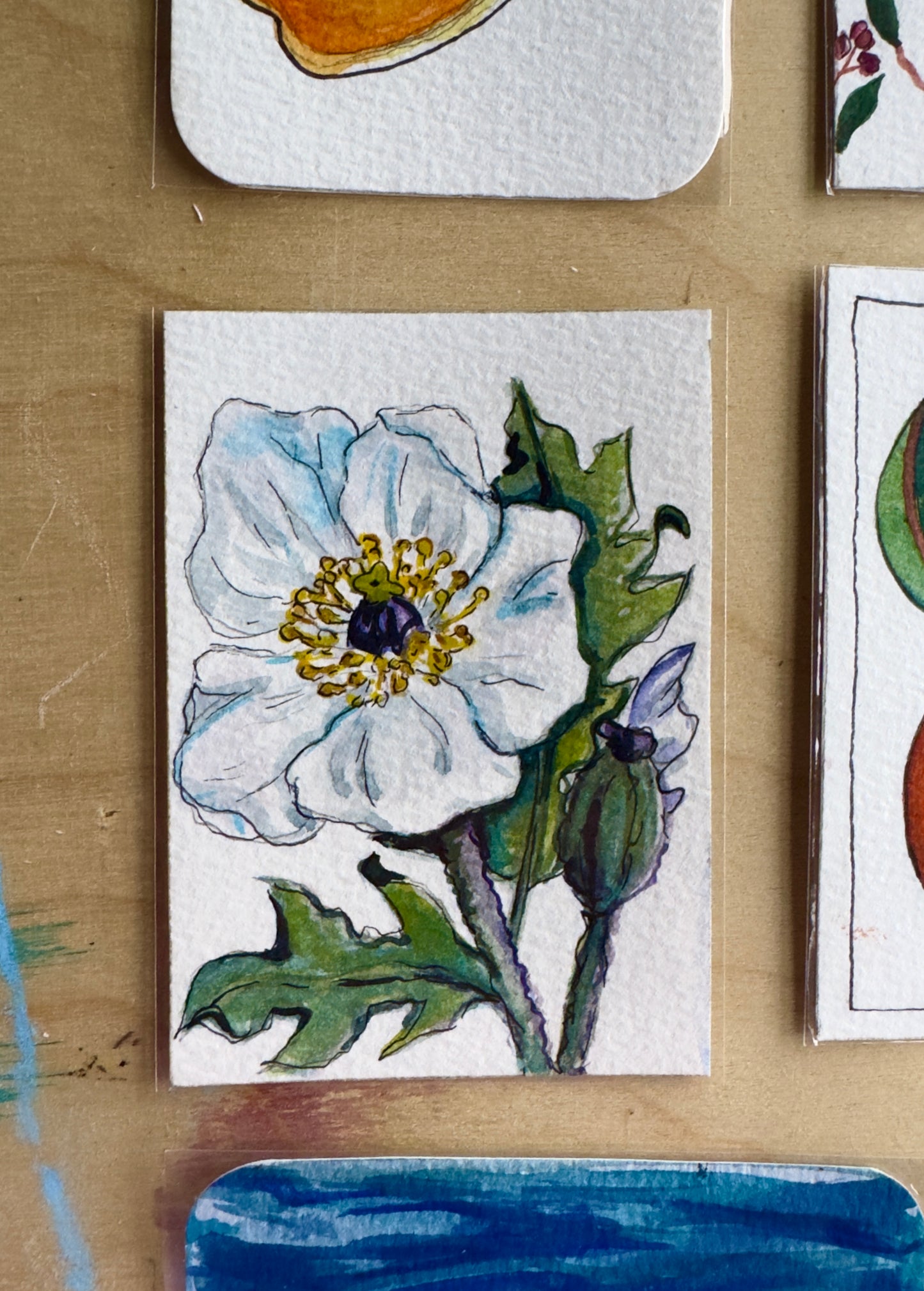“Pua Kala Poppy” mini original
