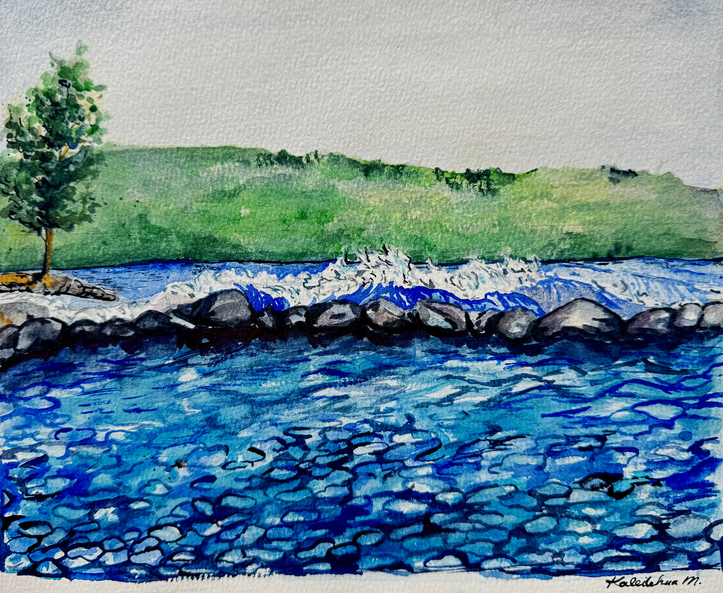 “Hilo Views” art print