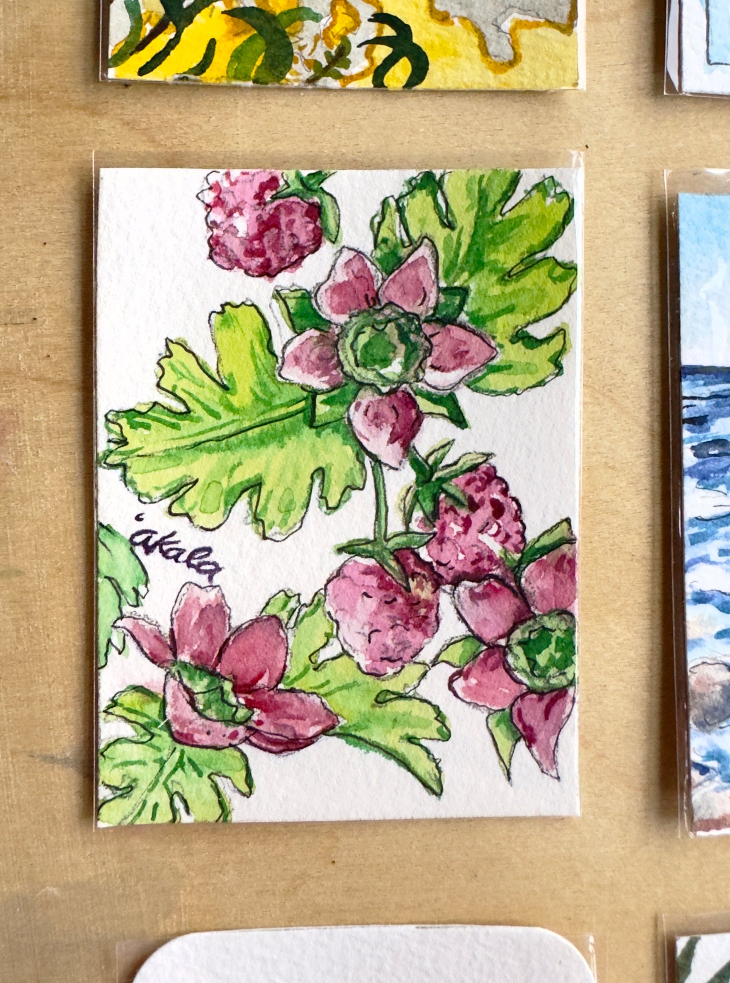 “ʻAkala” mini original
