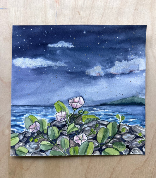 “Stars of the Earth”
