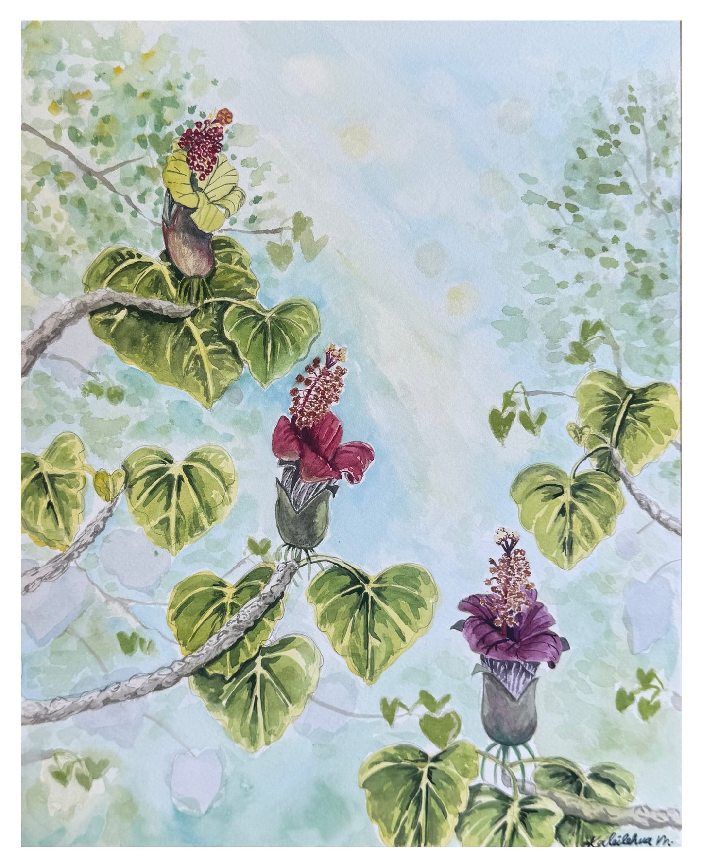 Watercolor artwork of Hau Kuahiwi native Hawaiian flowers and the way they change colors on branches with their heart shaped leaves. 