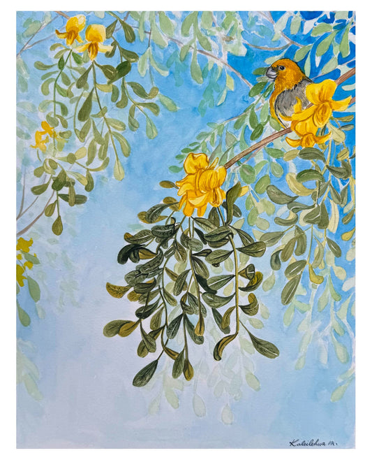 Painting of a Palila bird perched on a Māmane branch with yellow flowers against a blue sky.